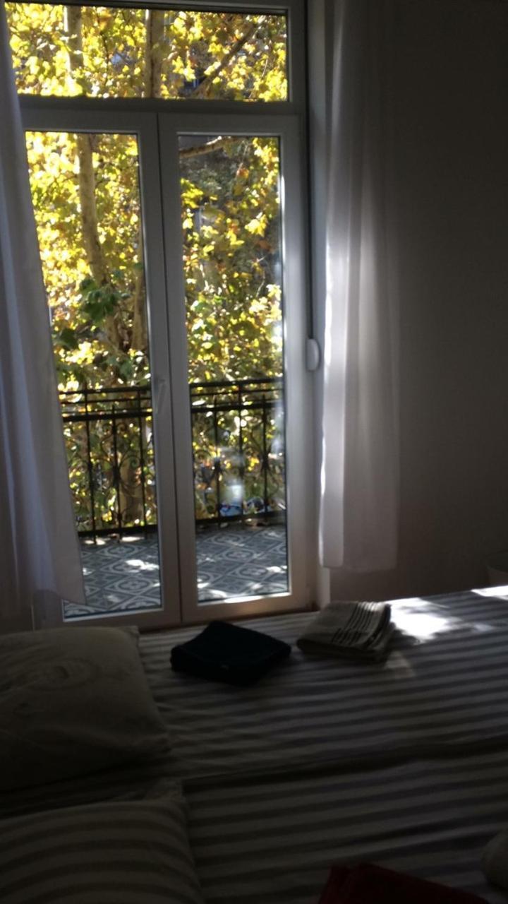 Cricket Park Hostel Belgrad Zewnętrze zdjęcie