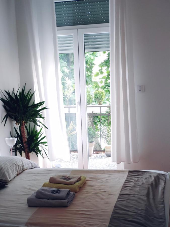 Cricket Park Hostel Belgrad Zewnętrze zdjęcie